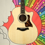 Taylor 314CE V Class Spruce / Sapele Wood Grand Auditorium Acoustic Electric Guitar