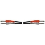 Hosa 6.6' Dual 1/4" TS to TS Audio Cable CPP202