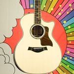 Taylor 814ce Acoustic-Electric Guitar - Spruce / Rosewood, V-Class Bracing, Radiused Armrest, Hard Case 814CE