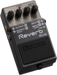 Boss RV6 Digital Delay/Reverb Effects Pedal