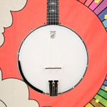 Deering Artisian Goodtime Openback 5 String Banjo AG2OB