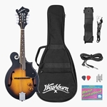 Washburn M3EK F Style Mandolin Kit