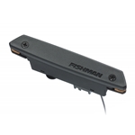 Fishman Rare Earth Pro-Rep-102 Humbucking Soundhole Pickup PRO-REP-102