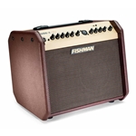 Fishman Loudbox Mini with Bluetooth Acoustic Guitar Amplifier PRO-LBT-500