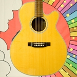 Used Takamine G Series EG540SSC Acoustic Guitar, Hardcase ISS20544