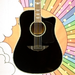 Xyz Used Urban Acoustic-Electric Guitar ISS22267