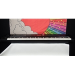 Used Roland RD-2000 88 Key Digital Stage Piano w/carry bag ISS23281