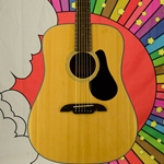 Used Alvarez RD20S Acoustic Dreadnought w/ gig bag ISS23373