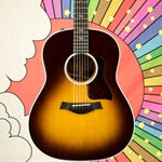 Taylor 417e Rosewood 6 String  Acoustic- Electric Guitar w/ES pickup system & hard case 417E-R