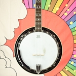 Used Fender FB-55 5 String Resonator Banjo ISS24807