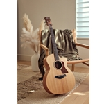 NEW for 2025 -  Taylor 14CE Acoustic/Electric Guitar