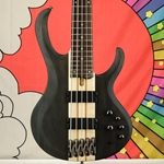Ibanez BTB Standard BTB605 5-string Bass Guitar - Transparent Gray Flat BTB605TGF