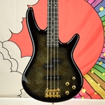 Ibanez Gio GSR200PC Electric Bass Guitar - Transparent Pale Black Burst GSR200PCTPB