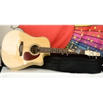 Seagull Performer CW HG Presys II w/ Bag 052103
