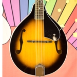 Used Washburn M1K Mandolin w/ Gig Bag ISS28495