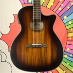Used Alvarez AG660CE Acoustic Electric Guitar ISS29125