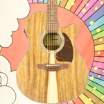Ibanez PC50WSCE Acoustic-Electric Guitar, Open-pore Natural (Factory 2nd) PC50WSCEOPB-2ND
