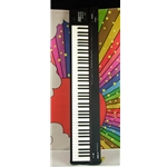Used Roland A-88 MIDI Controler ISS29550