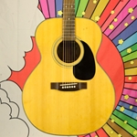 Used Takamine G230 Acoustic Guitar, Carry Bag ISS29630