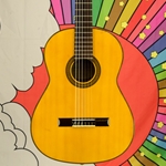 Xyz Used Artist Ltd. RB50 Nylon String Classical Guitar -  Japan Made ISS29592