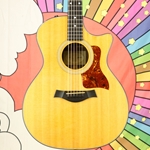 Used 2009 Taylor 314CE Acoustic Guitar, ES System, Hard Case ISS29956