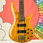 Used Ibanez SR805 5-String Bass Guitar, Hard Case ISS28100