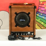 Used Pignose HOG 30 1x8" Guitar 7-300 Combo Portable Rechargeable Battery Powered - New Batteries ISS30570