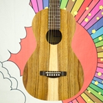 Ibanez Parlor 12 Fret Acoustic Guitar, Open Pore Brown PN2WS