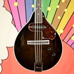 Ibanez M510E A-Style Electric Mandolin M510EDVS