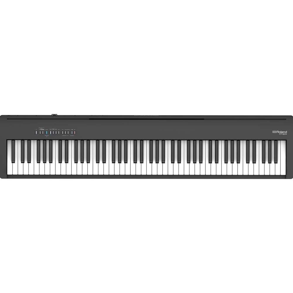 Uncle Ike's Music & Sound - Roland GO-88 88 Key Portable