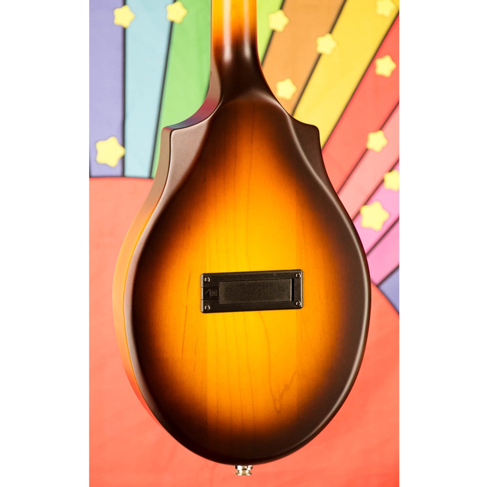 Uncle Ike's Music & Sound - Seagull S8 Mandolin Acoustic Electric