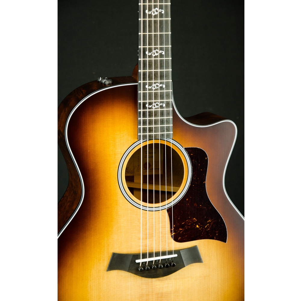 Uncle Ike's Music & Sound - 2021 Taylor 314ce LTD V-Class Acoustic 
