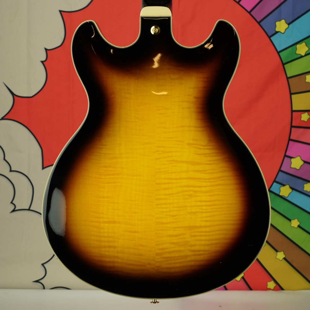 Uncle Ike's Music & Sound - 2022 Ibanez artcore