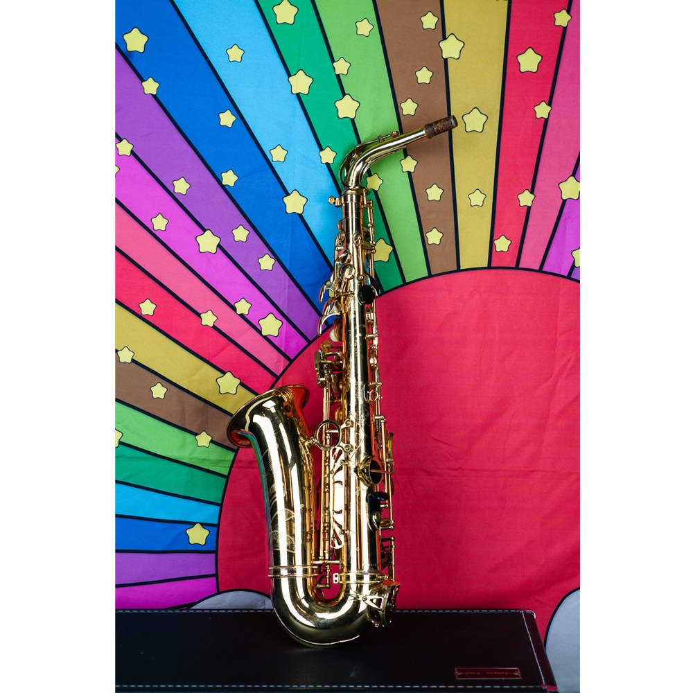 Antigua アルトサックス WINDS ALTO SAX GL W/CASE Antigua アルトサックス WINDS ALTO SAX GL W/CASE