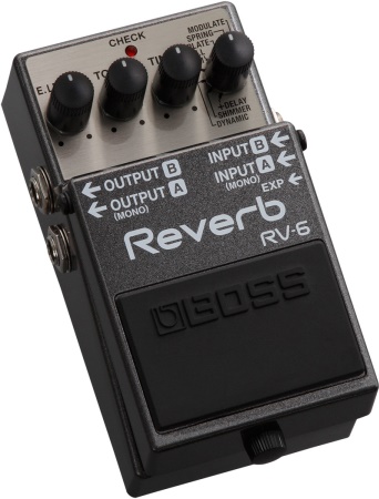 Boss RV6 Digital Delay/Reverb Effects Pedal