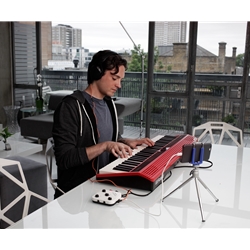 Amazon.com: Roland GO:KEYS 61-key Music Creation Piano