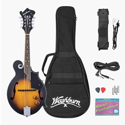 Washburn M3EK F Style Mandolin Kit