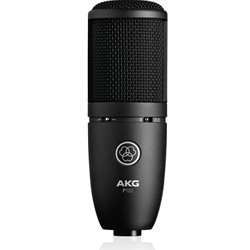 Akg AKG P120 High-performance general purpose recording microphone