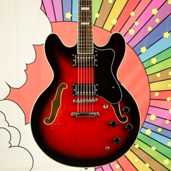 Glen burton discount semi hollow guitar