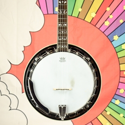 Used Fender FB-55 5 String Resonator Banjo ISS24807