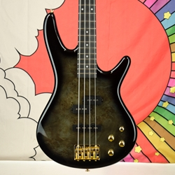 Ibanez Gio GSR200PC Electric Bass Guitar - Transparent Pale Black Burst GSR200PCTPB