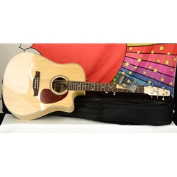 Seagull Performer CW HG Presys II w/ Bag 052103