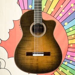 Cordoba Fusion 12 Exotic Top Series Cinnamon Burst, Classical Nylon Sting Guitar, Pickup 99-750-0320