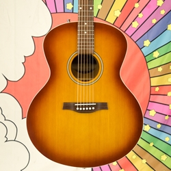DEMO Seagull Entourage MJ Rustic Burst Acoustic Guitar 032914