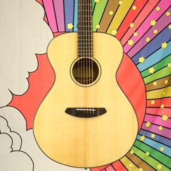breedlove Used Breedlove Left Handed Discovery Concert LH Acoustic, Lefty Carry Bag ISS28846