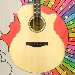 Ibanez AE170 Grand Auditorium Acoustic/Electric Guitar, Natural AE170NTR