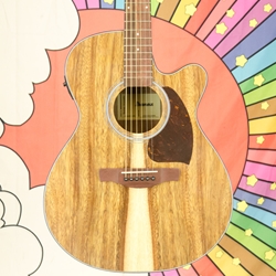 Ibanez PC50WSCE Acoustic-Electric Guitar, Open-pore Natural (Factory 2nd) PC50WSCEOPB-2ND