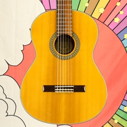 Used Washburn C80S Classical - Solid Cedar top / Rosewood Back & Sides, Hard Case ISS30304