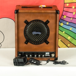 Used Pignose HOG 30 1x8" Guitar 7-300 Combo Portable Rechargeable Battery Powered - New Batteries ISS30570