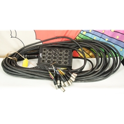 Used Rapco 100' Audio Snare 16/4 ISS30449